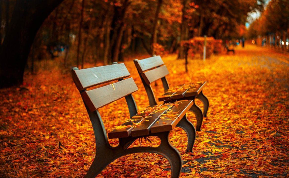 Autumn Statement