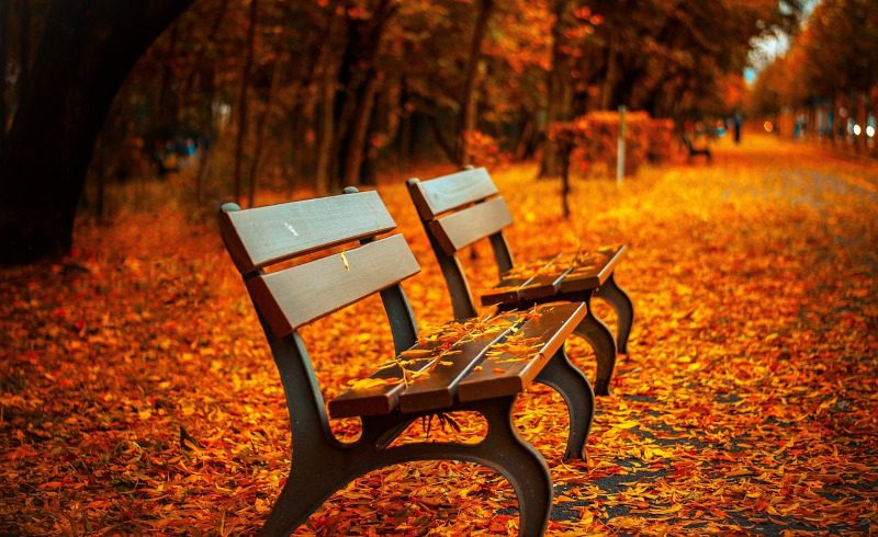 Autumn Statement