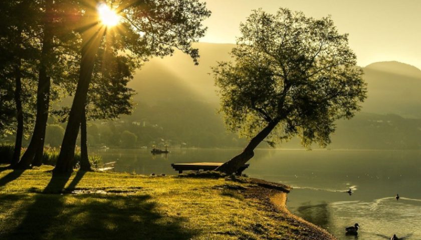 Summer Newsletter