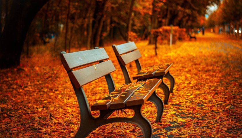 benches-560435_1280
