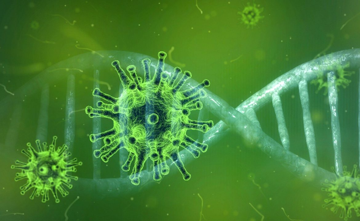coronavirus-update