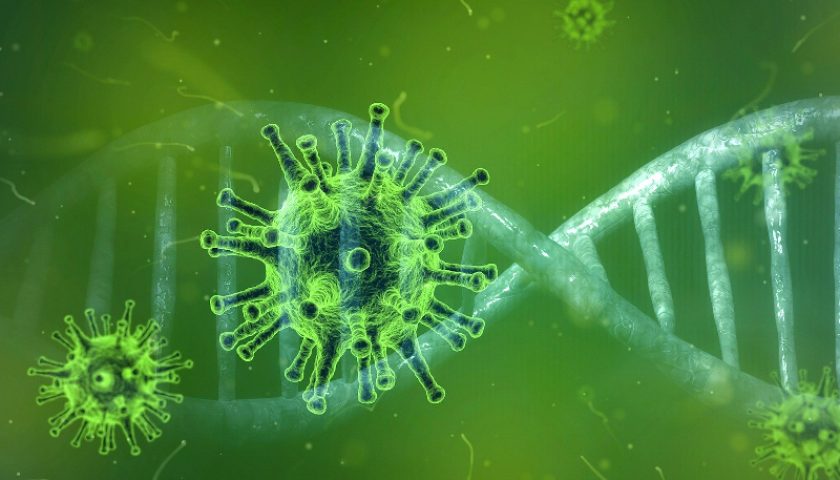 coronavirus-update