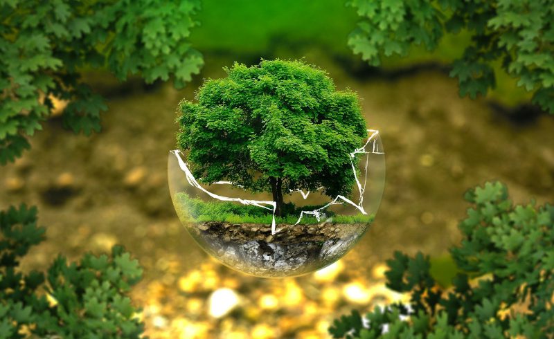 earthday