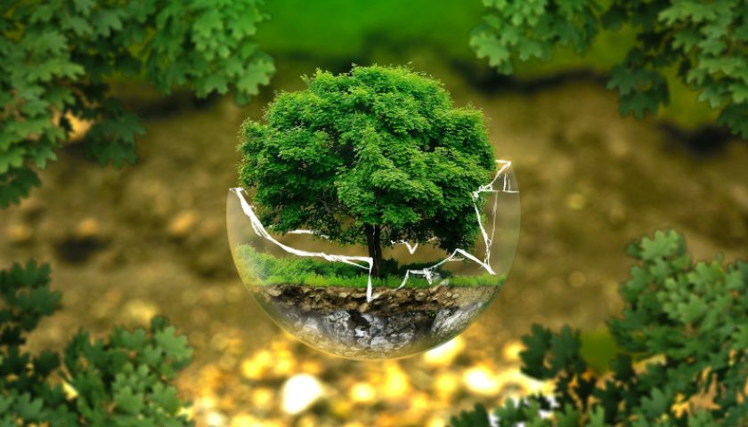earthday