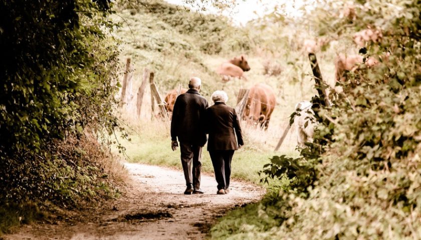 elderly-2914879_1280