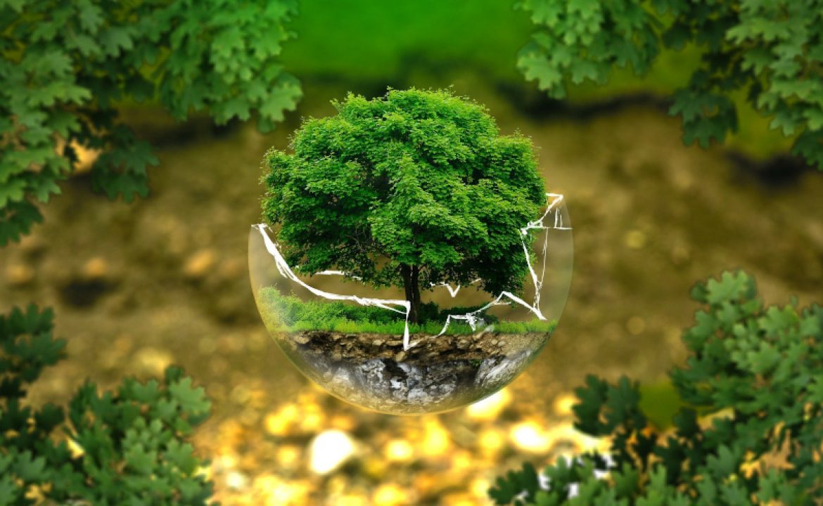 environment