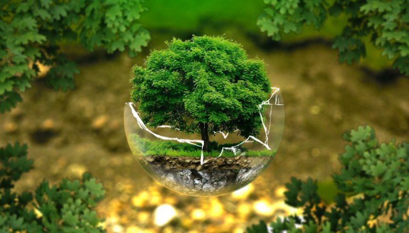 environment