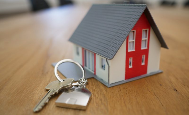 landlord