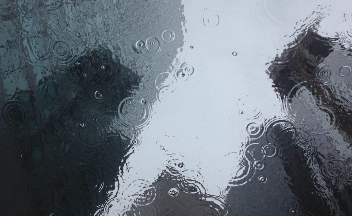 pexels-puddle-1853607