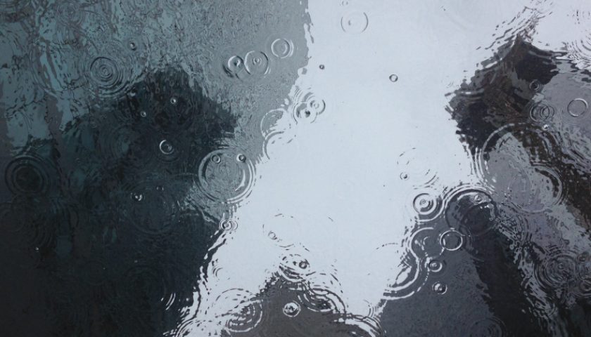 pexels-puddle-1853607